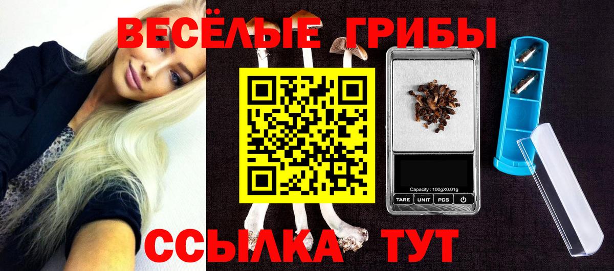 Псилоцибиновые грибы мухоморы  закладка  Карачаевск  Вход с VPN 